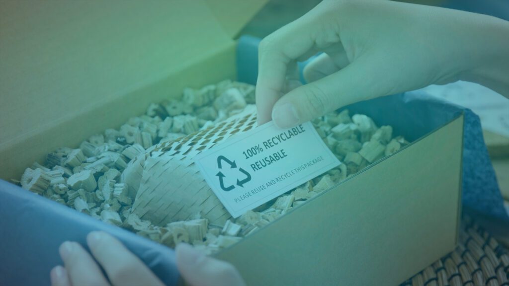 business sustainability ideas