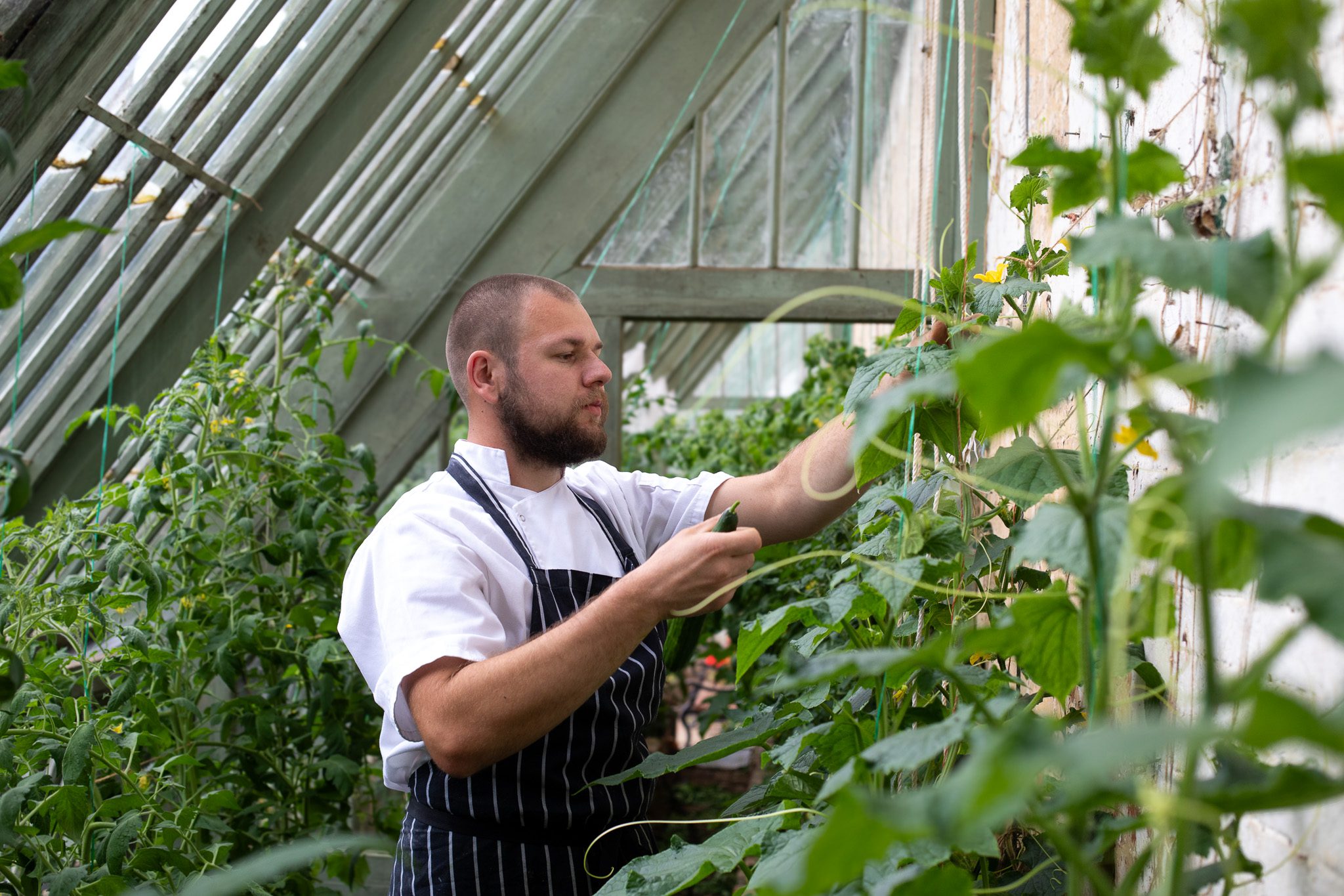 Dining out helps community gardens to grow